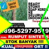 Distributor Rumput Plastik Langsa Barat.jpg