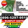 Jual Rumput Palsu Kabupaten Dairi.jpg