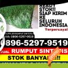 Gudang Rumput Imitasi Gegesik.jpg