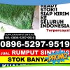 Penjual Rumput Palsu Depok.jpg