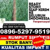 Pusat Rumput Plastik Merapi Barat.jpg