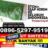 Jual Rumput Sintetis Kapuas Hilir.jpg