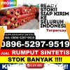 Penjual Rumput Plastik Pontianak Selatan.jpg