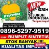 Agen Rumput Palsu Krui Selatan.jpg