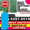 Distributor Rumput Plastik Ledo.jpg