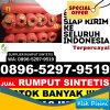 Gudang Rumput Palsu Sitio Tio.jpg