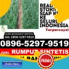 Agen Rumput Palsu Kunir.jpg