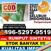 Penjual Rumput Palsu Galang.jpg