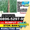 Pusat Rumput Plastik Moti.jpg