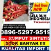 Penjual Rumput Plastik Pulau Petak.jpg