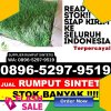 Gudang Rumput Imitasi Gunungjati.jpg