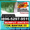 Penjual Rumput Palsu Garawangi.jpg