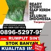 Jual Rumput Sintetis Kebonsari.jpg