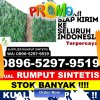 Distributor Rumput Plastik Lubai.jpg