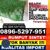 Jual Rumput Sintetis Kelapa Gading.jpg