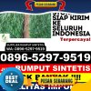 Agen Rumput Palsu Lawe Sigala Gala.jpg