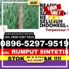 Agen Rumput Palsu Lempuing.jpg