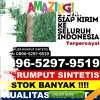 Agen Rumput Palsu Lingga Bayu.jpg