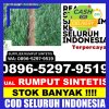 Distributor Rumput Plastik Mandor.jpg