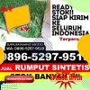 Penjual Rumput Palsu Hampang.jpg