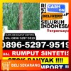 Jual Rumput Sintetis Klangenan.jpg