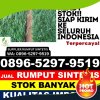 Grosir Rumput Plastik Kota Besi.jpg