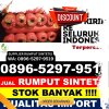 Gudang Rumput Palsu Suruh.jpg