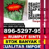 Jual Rumput Palsu Kampar Kiri Hulu.jpg