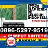 Jual Rumput Sintetis Kota Banjarmasin.jpg