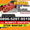 Grosir Rumput Imitasi Pakuniran.jpg