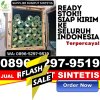 Distributor Rumput Palsu Air Naningan.jpg