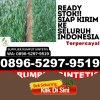 Distributor Rumput Plastik Mario Riwawo.jpg