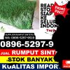 Jual Rumput Palsu Karang Dapo.jpg