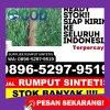 Jual Rumput Sintetis Kota Kendal.jpg