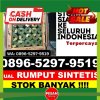 Distributor Rumput Palsu Amuntai Tengah.jpg