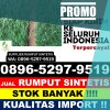 Distributor Rumput Plastik Mazo.jpg