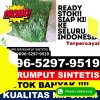 Penjual Rumput Palsu Jatibarang.jpg