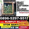 Agen Rumput Sintetis Air Kumbang.jpg