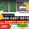 Grosir Rumput Plastik Koto Balingka.jpg