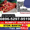 Grosir Rumput Imitasi Pangenan.jpg