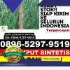 Jual Rumput Sintetis Kotabumi.jpg