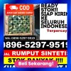 Distributor Rumput Palsu Bacan Barat Utara.jpg