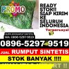 Penjual Rumput Palsu Jorlang Hataran.jpg