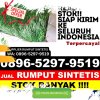 Penjual Rumput Palsu Kabupaten Badung.jpg