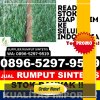 Jual Rumput Sintetis Kundur.jpg