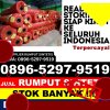 Penjual Rumput Plastik Seberang Ulu I.jpg