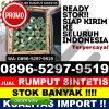 Distributor Rumput Palsu Banda Sakti.jpg