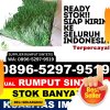 Penjual Rumput Palsu Kabupaten Brebes.jpg