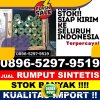 Distributor Rumput Palsu Bangodua.jpg