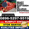 Penjual Rumput Plastik Sekayu.jpg